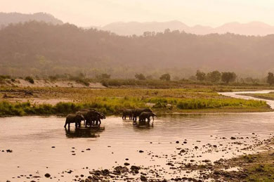 Jim Corbett Zone