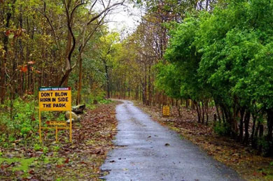 Jim Corbett Sitabani Buffer Zone