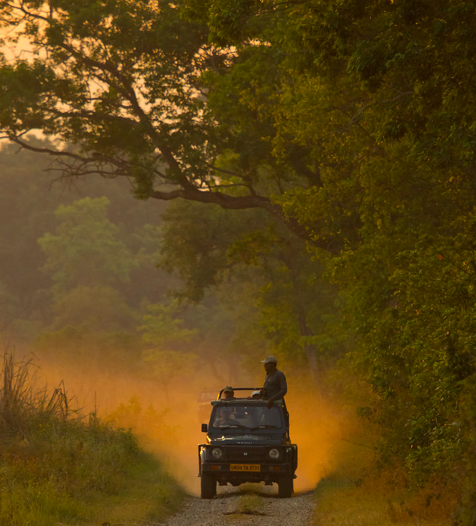 Jim Corbett Elephant Booking