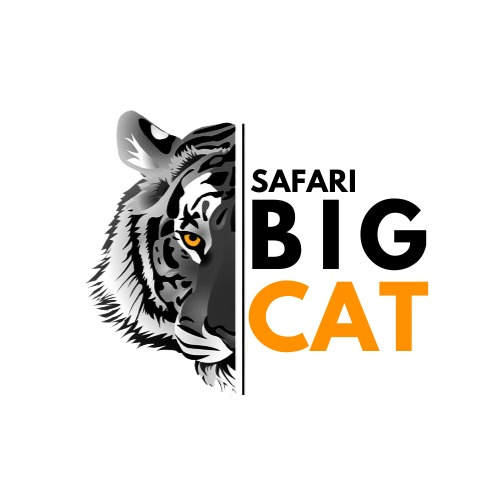 Safari big cat